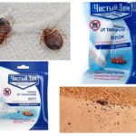 Debu Clean House daripada bedbugs