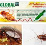 Global fra kakerlakker