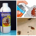 Cucaracha afhjælpe bedbugs