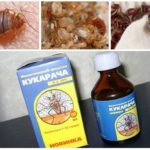 Cucaracha afhjælpe bedbugs-1