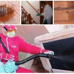 Behandler rom fra bedbugs