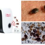 Bed Bugs Repeller