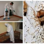 Behandler værelser fra kakerlakker