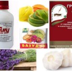 Biện pháp khắc phục Blackfly trong hoa lan