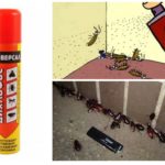 Dichlorvos fra cockroaches-1