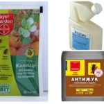 Remedies voor de schorskever