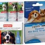 Gouttes aux puces pour chiens