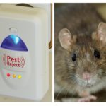 Ultrasonic Pest Reject Repeller