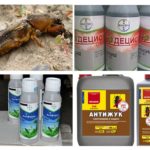 Insekticide produkter fra Medvedka