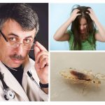 Pediculosis hakkında Komarovsky