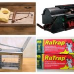 Rodent Trap