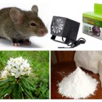 Metoder til behandling af mus