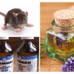 Folk remedies for mice