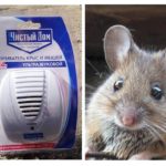 Ultrazvučni odbijači od štakora i miševa Čista kuća