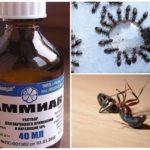Ammoniak fra myrer