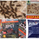 Ant Chemicals