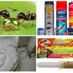 Sredstva za borbu protiv mrava
