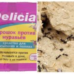 Myror Delicia Powder