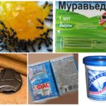 Produse chimice pentru insecte