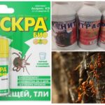 Productos químicos de hormigas