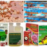 Pest Control Powders