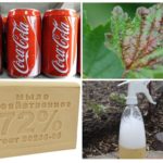 Ứng dụng Aphid Coca-Cola