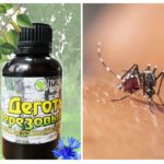 Tals de bedoll procedents de mosquits