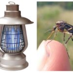 Elektrolamp a szúnyogok ellen Terminátor