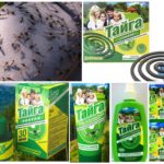 A szúnyogok előkészítése Taiga