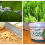 Vechten met folk remedies