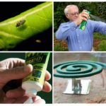 Protection contre les insectes