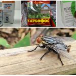 Kemikalier fra gadflies og gadflies
