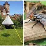 Hjemmelavede fælder til gadflies og gadflies