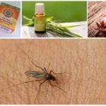 Repel·lents de mosquits de carrer