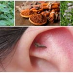 Aromas para combatir los mosquitos.