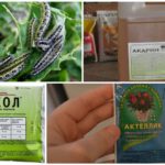 Produtos químicos para combate a lagarta