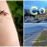 Myg i Sochi
