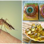 Μέθοδοι αντιμετώπισης των κουνουπιών