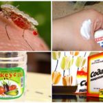 Narodni lijekovi za ugrize komaraca