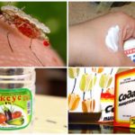 Folk remedies for mosquito bites