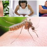 Conséquences de la morsure de moustique du paludisme