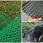 Mole Nets