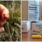 Lék Doxycycline pro prevenci kousnutí klíštěte