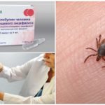 Immunoglobulina contro l'encefalite da zecche