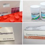 Medicamentos para combatir los ácaros del oído.