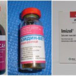 Medicamente pentru piroplasmoză la câini