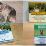 Pripravci za liječenje pasa od muha