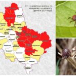 Zones dangereuses pour les tiques sur la carte de la région de Moscou