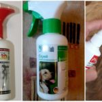 Sprays per a gossos contra les paparres