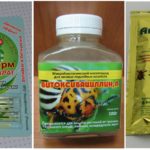 Biologiske produkter til bekæmpelse af edderkoppemider